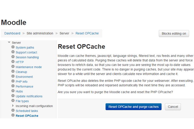 Screenshot: Moodle Reset OPCache