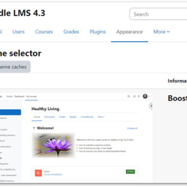Early Moodle LMS 4.3 Compatible Themes Have Arrived!
